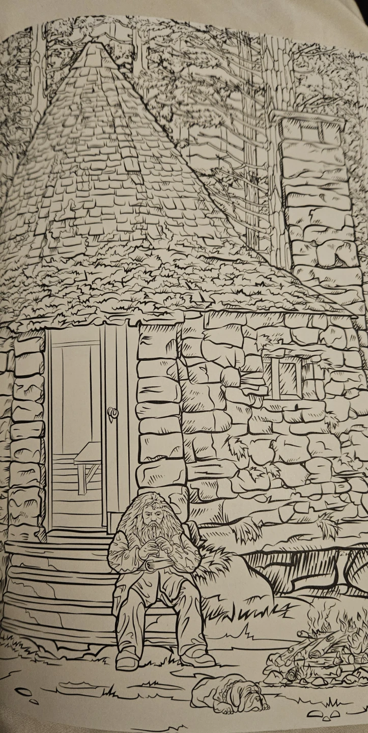 Warner Bros - Harry Potter Coloring Book - photo 5
