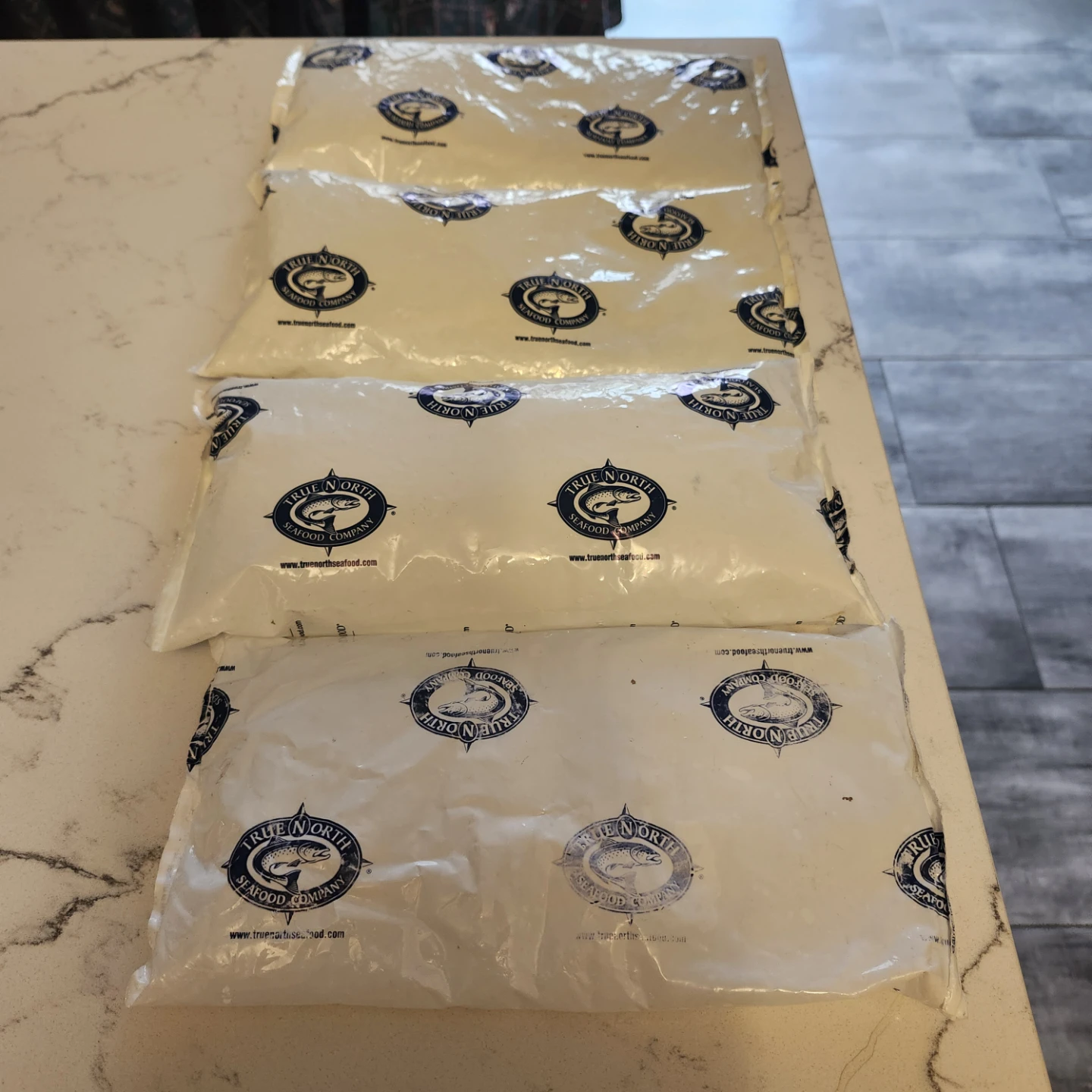 Used True North Seafood Company Ice Packs (4 Pack) - photo 2