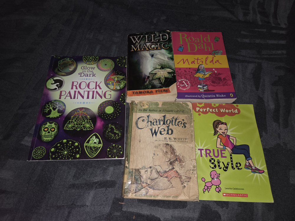 girls Book Bundle: Glow in the Dark Rock Paintingect