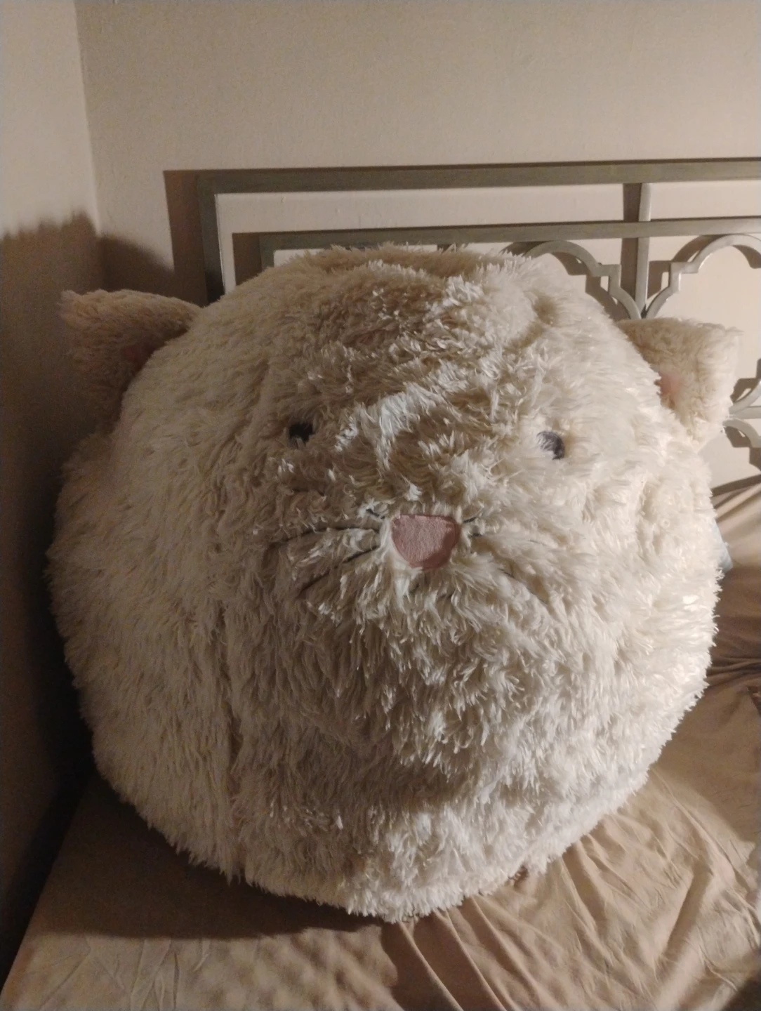 Large Cat Bean Bag