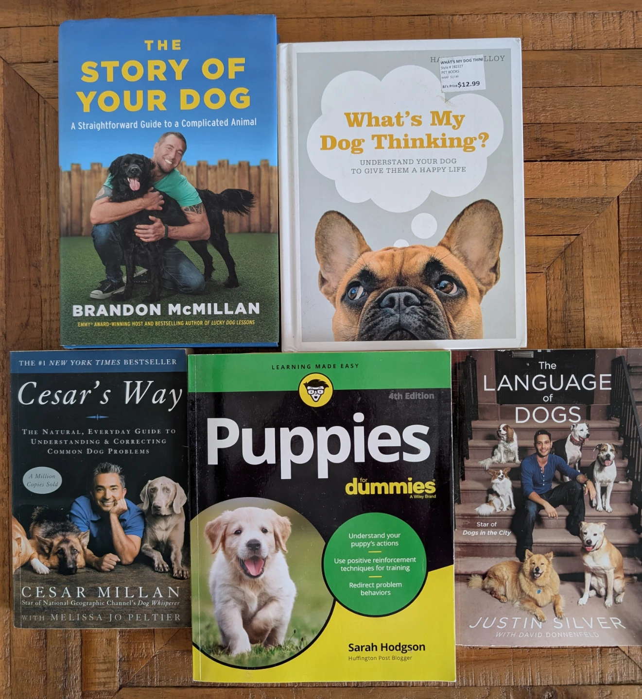 Dog Training and Behaviour Book Bundle - photo 2