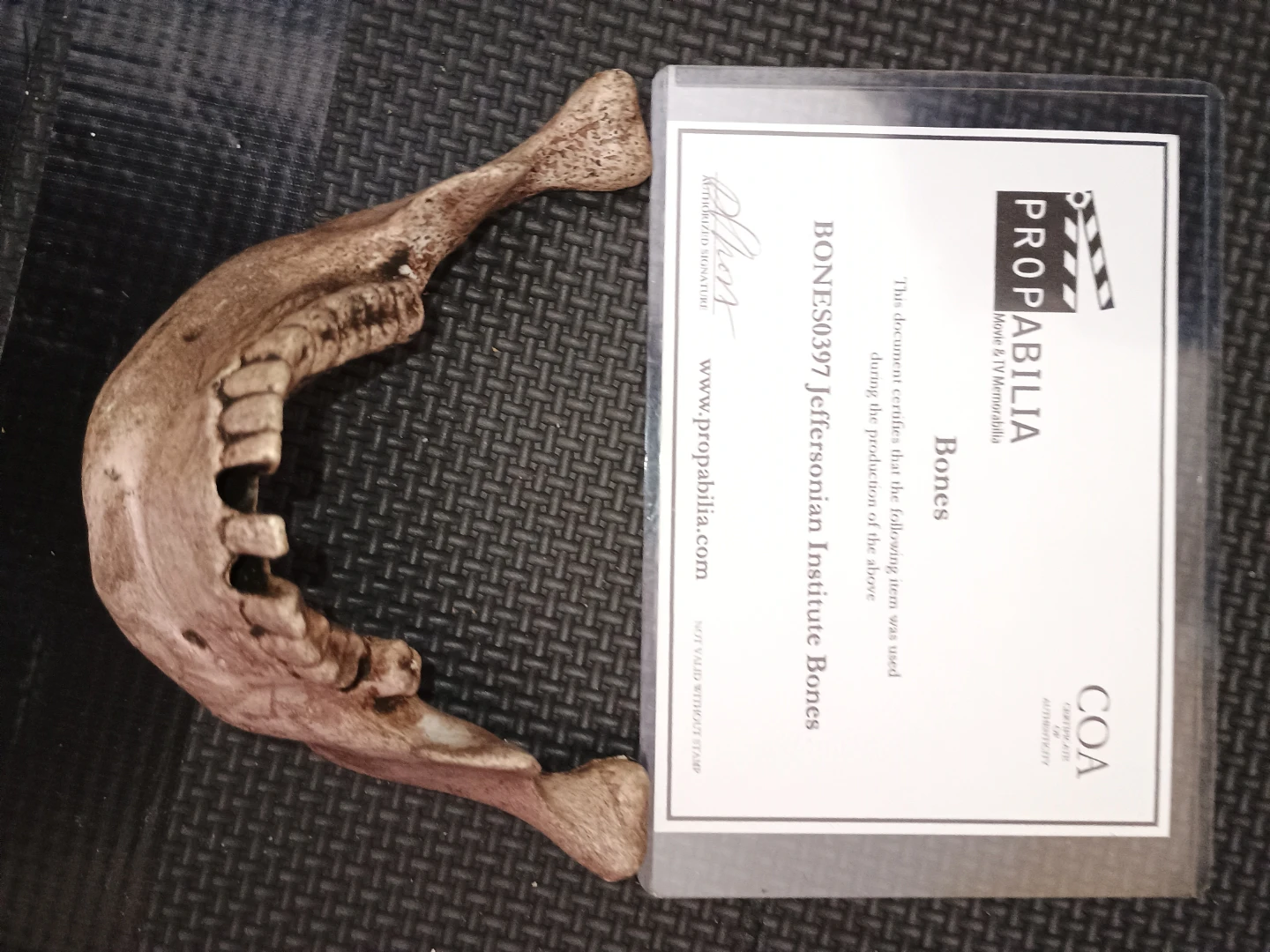 Propabilia Jeffersonian Institute Bones Prop - photo 4
