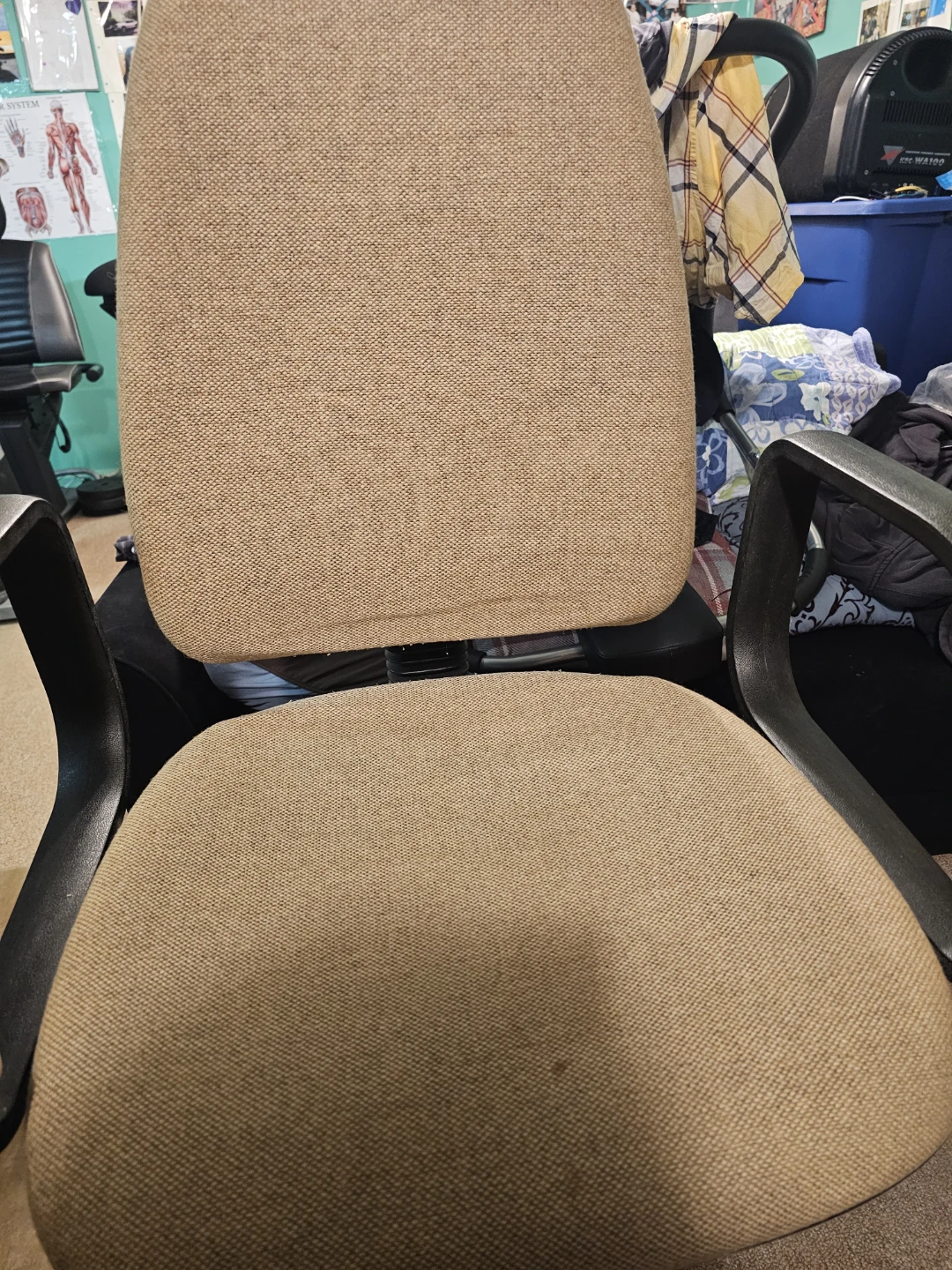 DOUCHIN Office Chair - photo 5