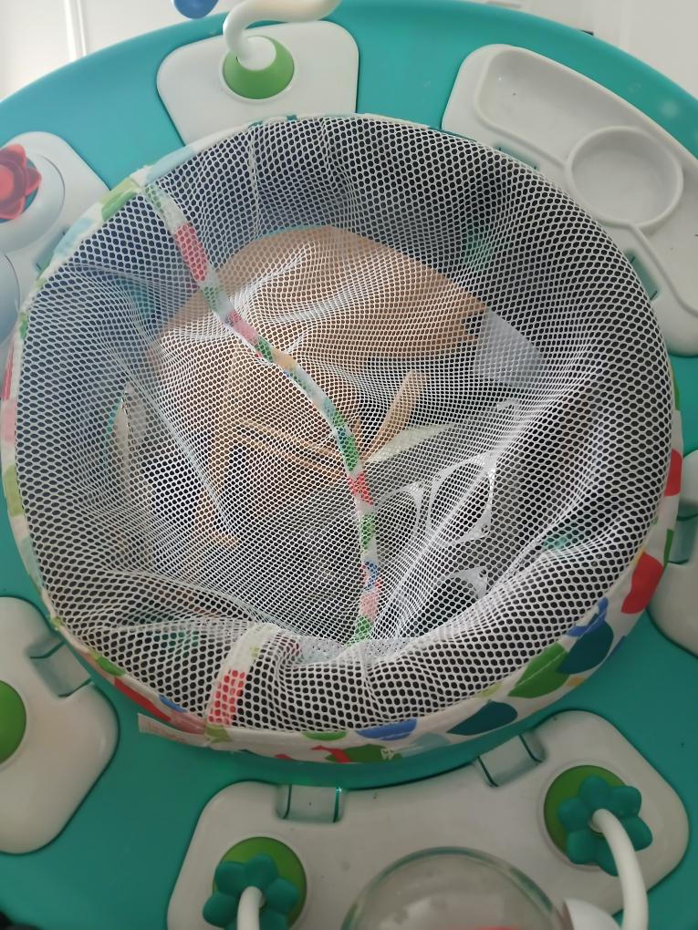 Baby Activity Center - photo 3