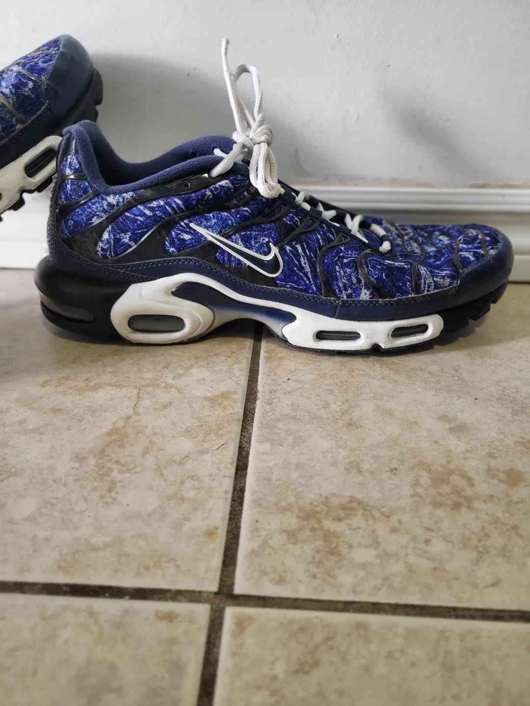 Nike Air Max Plus TN SE Shoes Blue White