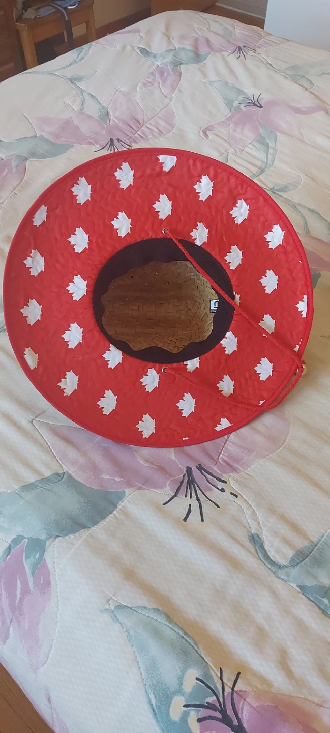 Toronto Blue Jays Straw Hat - photo 2