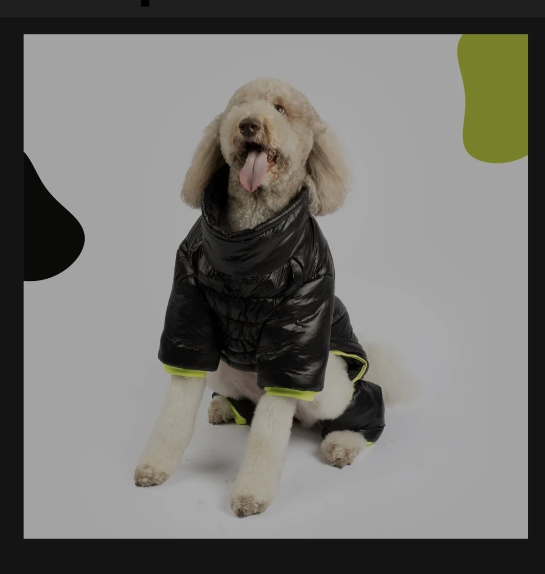 Dog snow suit