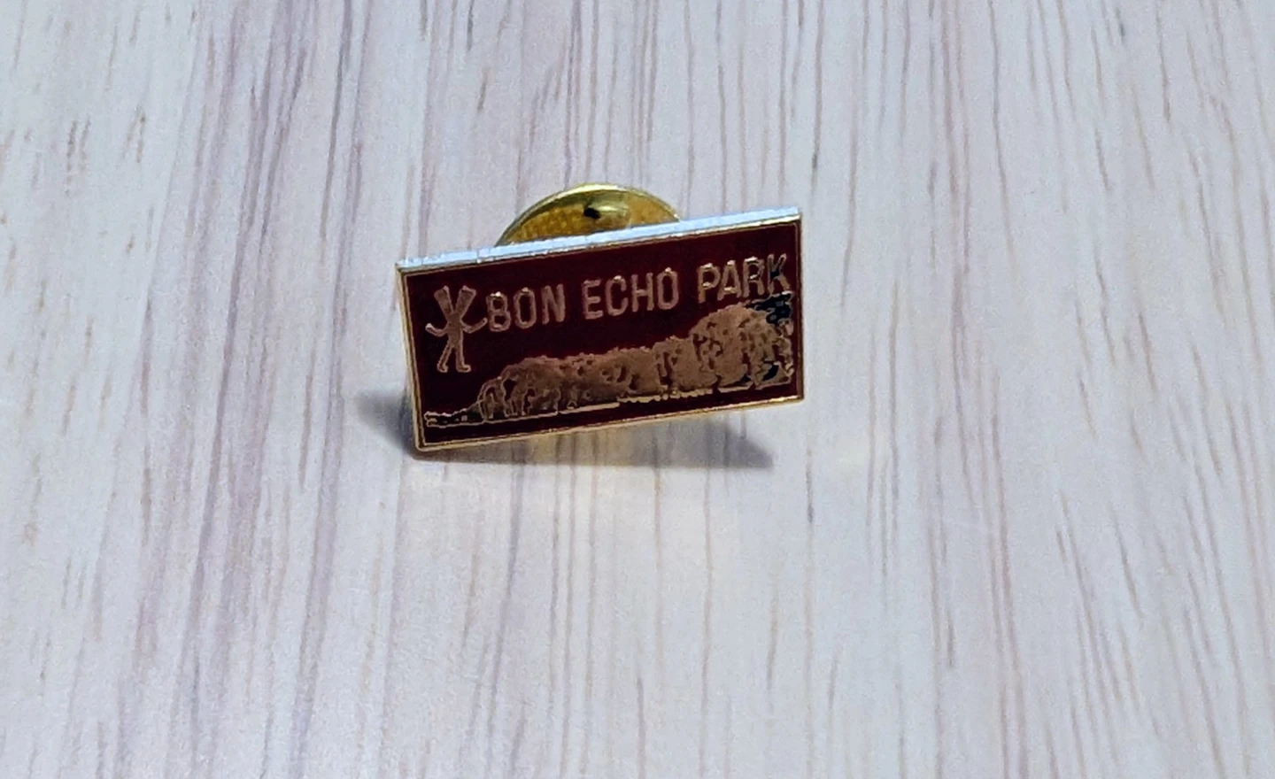 Brand New Bon Echo Park Lapel Pin