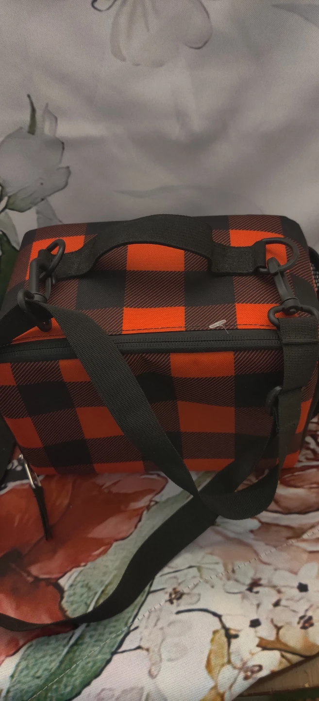 Jansport Buffalo Plaid Lunch Bag - photo 3