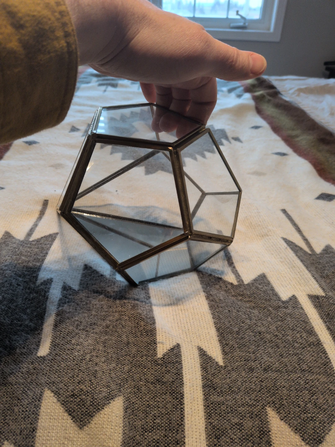 🥕 Geometric Glass Terrarium - photo 5