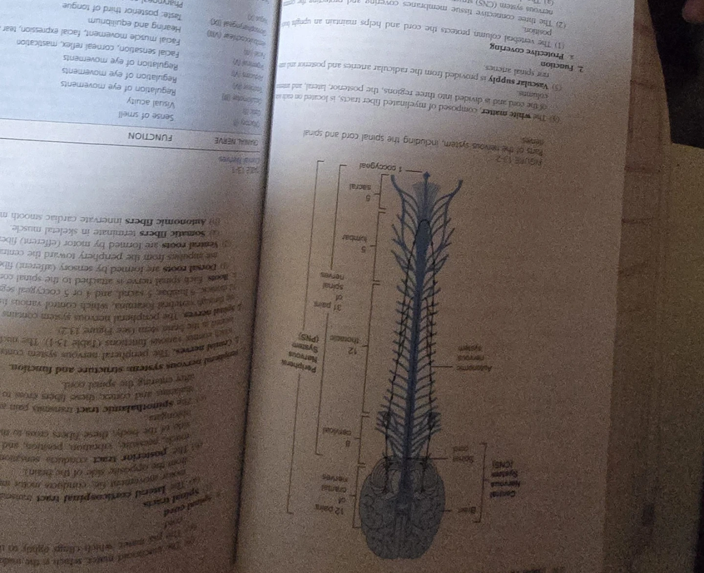 Lippincott's Medical-Surgical Nursing, Third Edition - photo 2