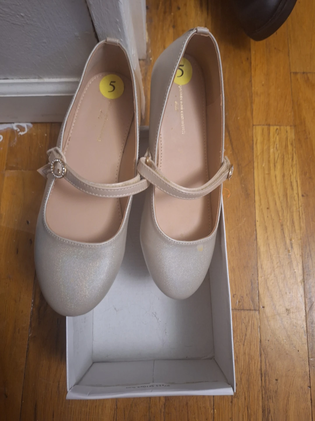 Toddler Girls' Silver Mary Jane Shoes Size 5