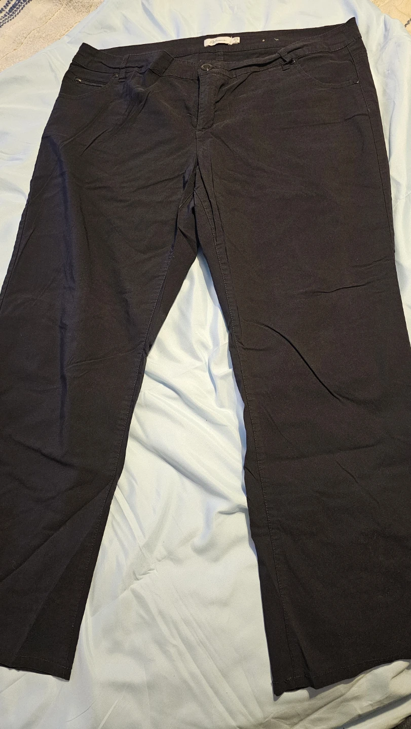 Reitmans Black Petite Pants Size 22