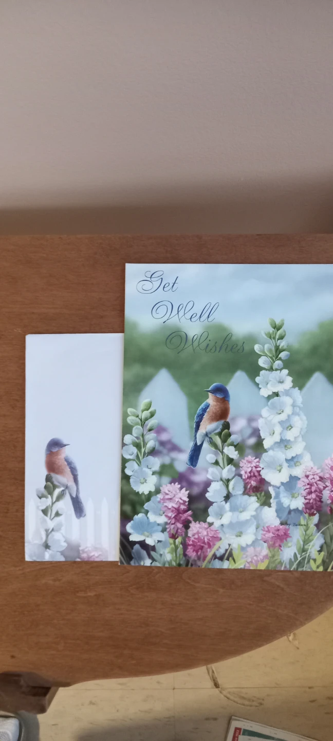 Get Well Wishes Card with Envelope