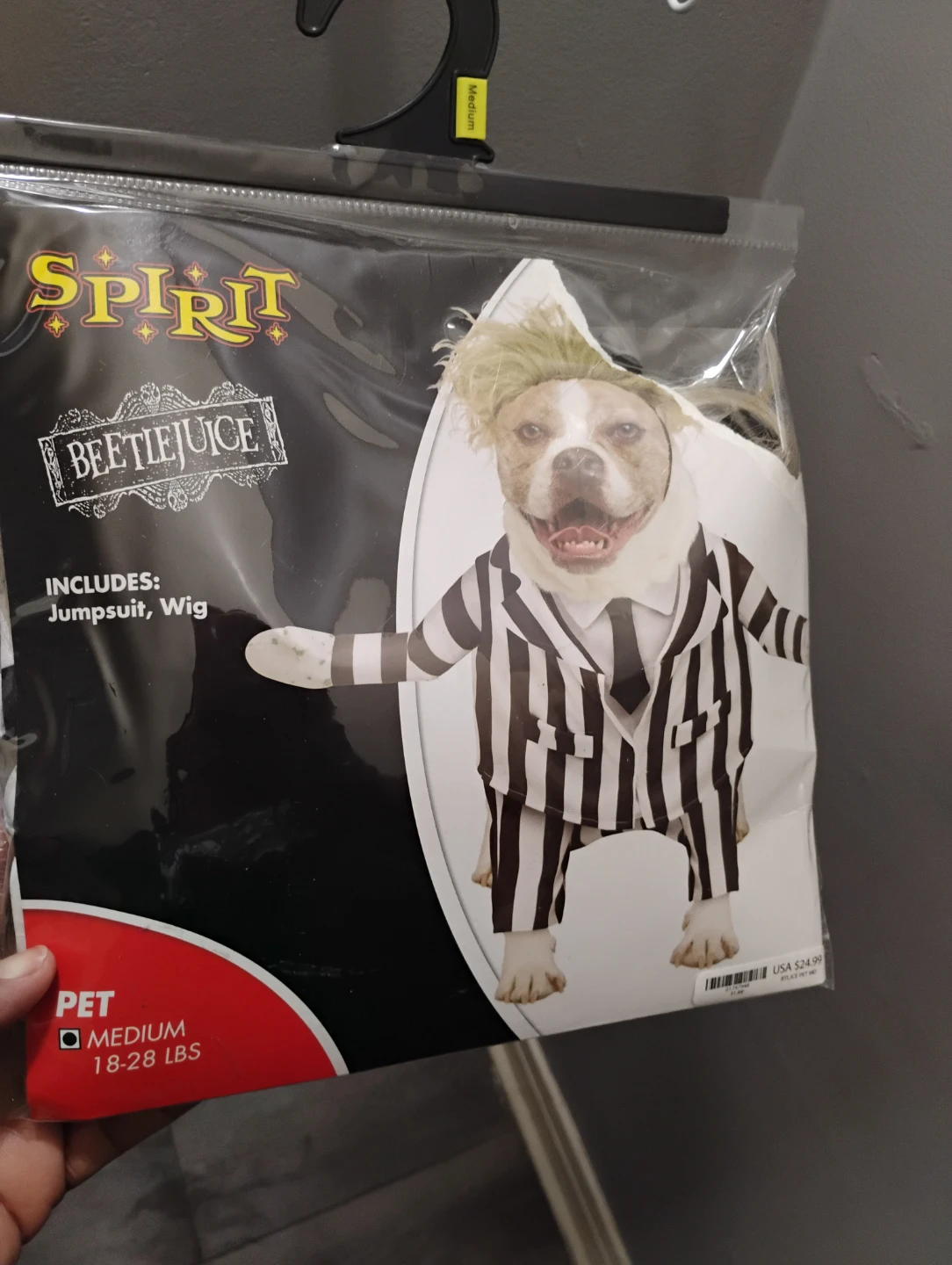 Spirit Halloween Beetlejuice Pet Costume - Medium