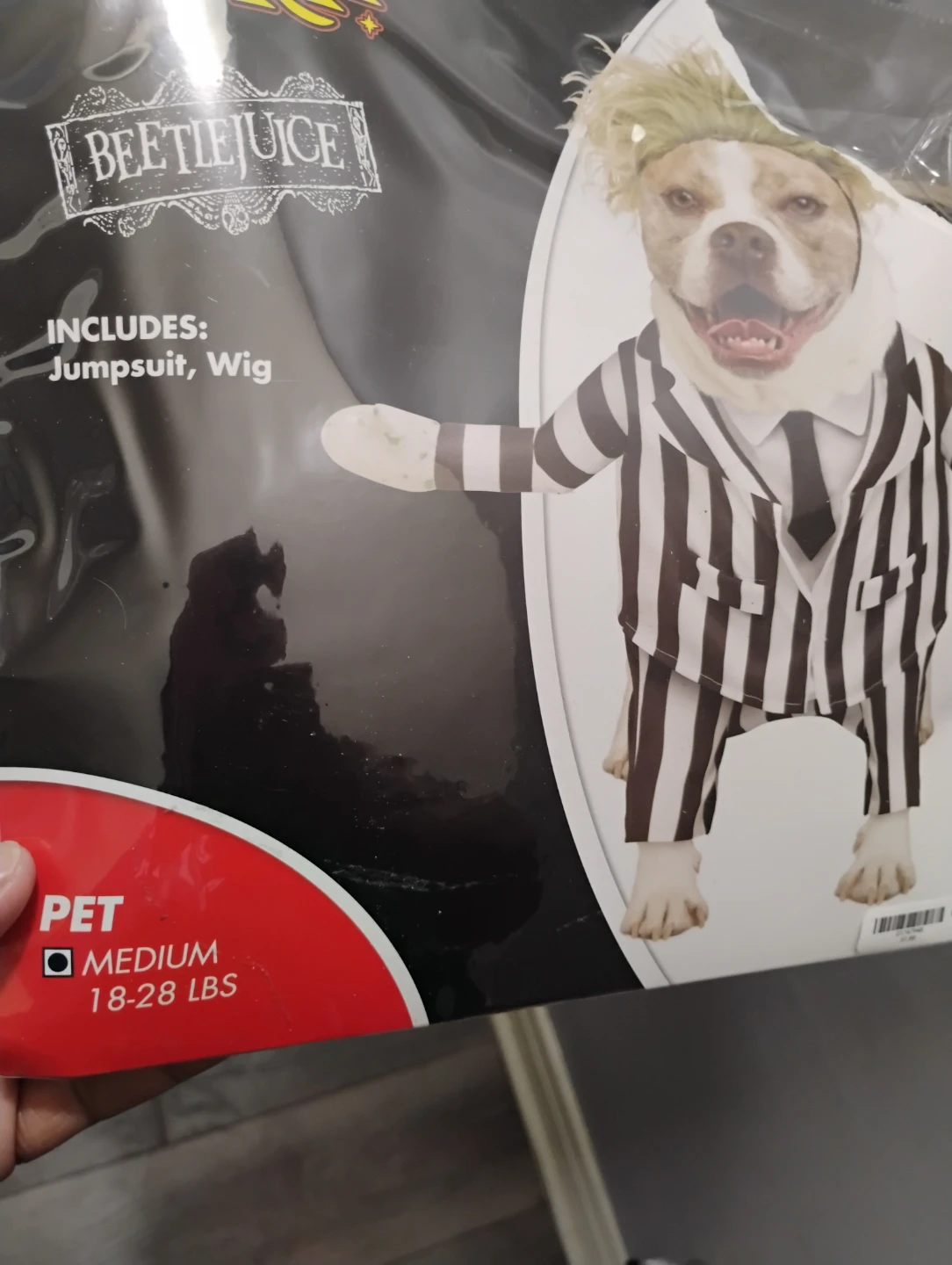 Spirit Halloween Beetlejuice Pet Costume - Medium - photo 2