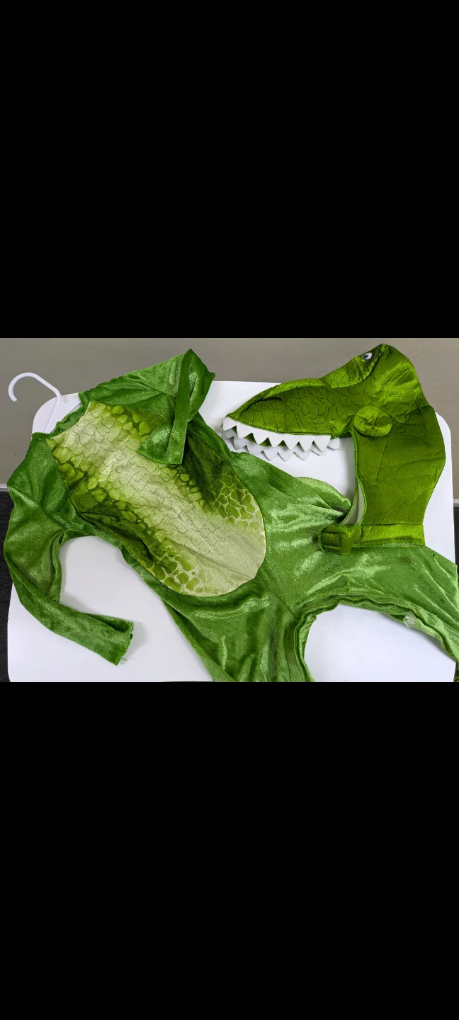 Green Dinosaur Costume