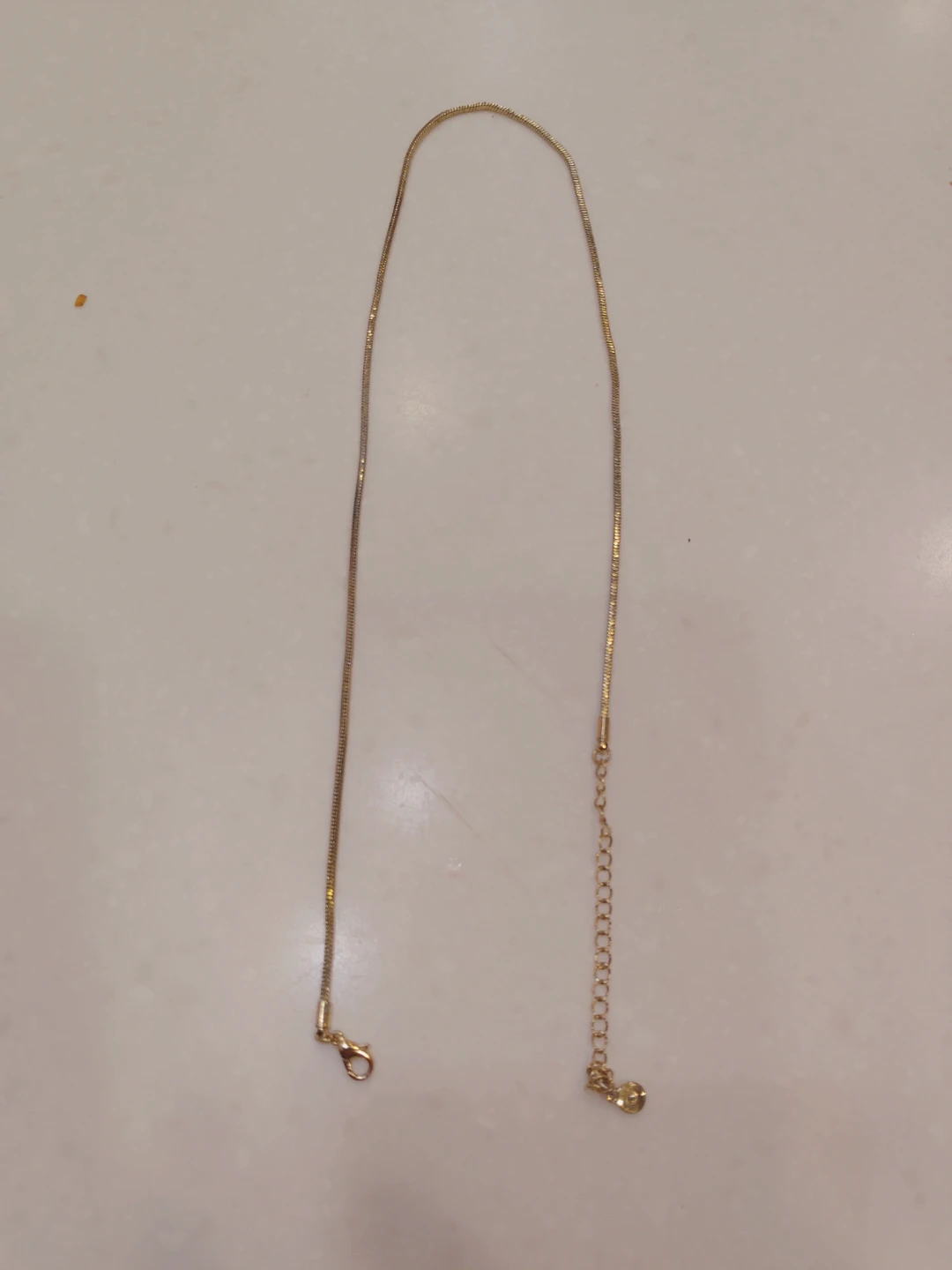 Gold-tone Snake Chain Necklace