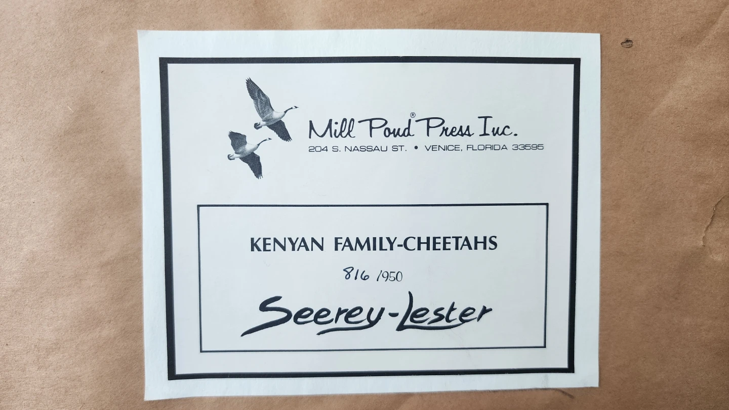 Kenyan Family Cheetahs Print by John Seerey-Lester, 816/950 - photo 4