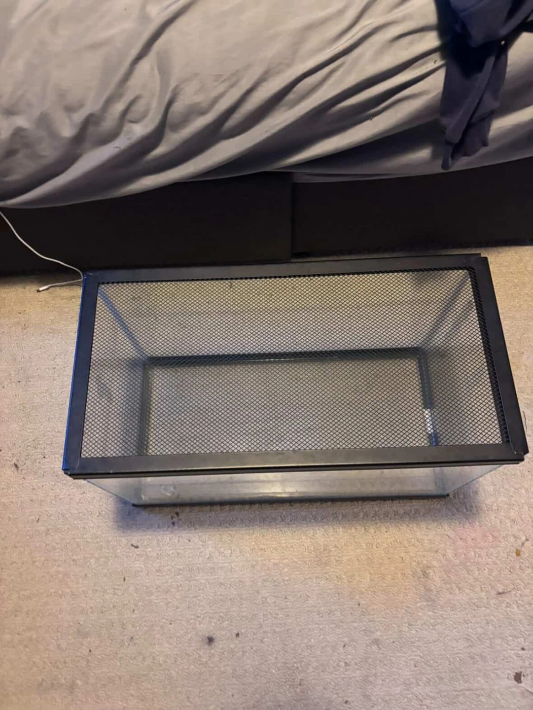 Glass Terrarium with Mesh Lid - photo 2