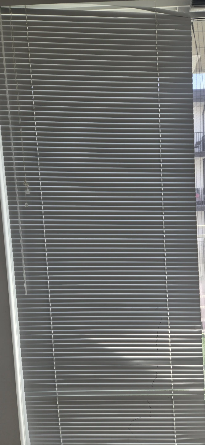 Silver Horizontal Blinds