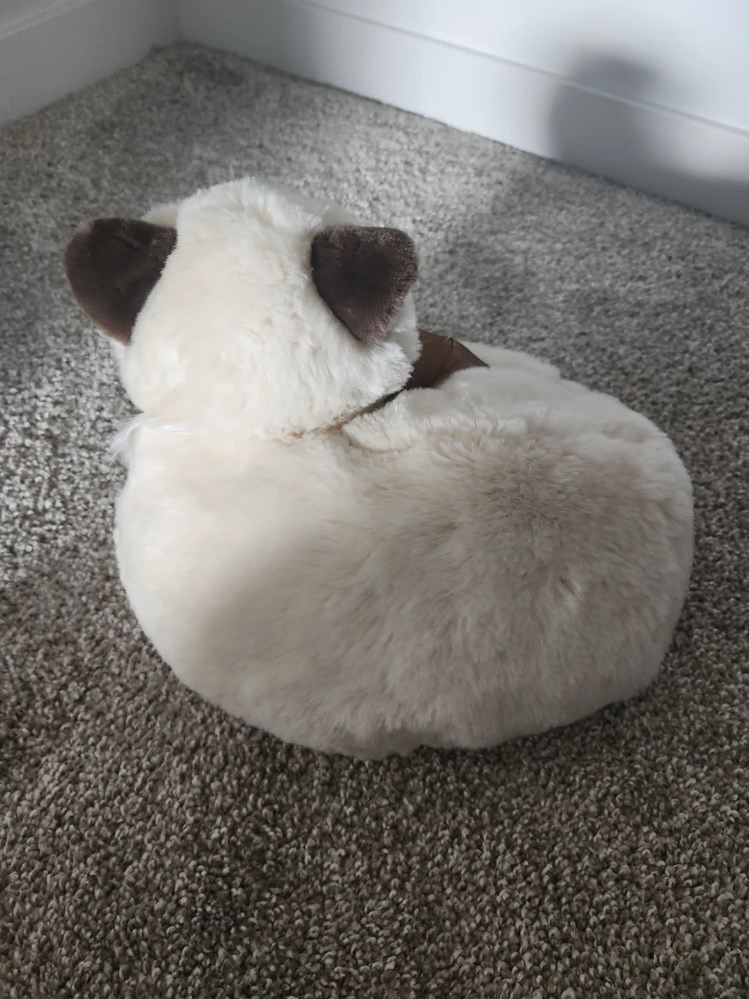 Plush Cat Stuffed Animal with Brown Ribbon - photo 3