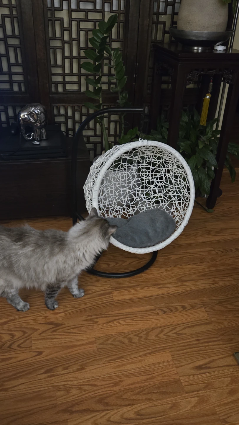 Hanging Cat Bed - photo 2