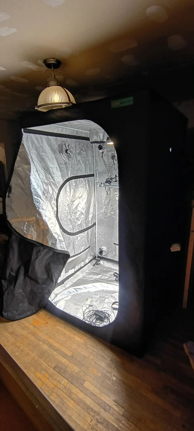 VIPARSPECTRA grow tent, AC Infinity inline fan & grow light