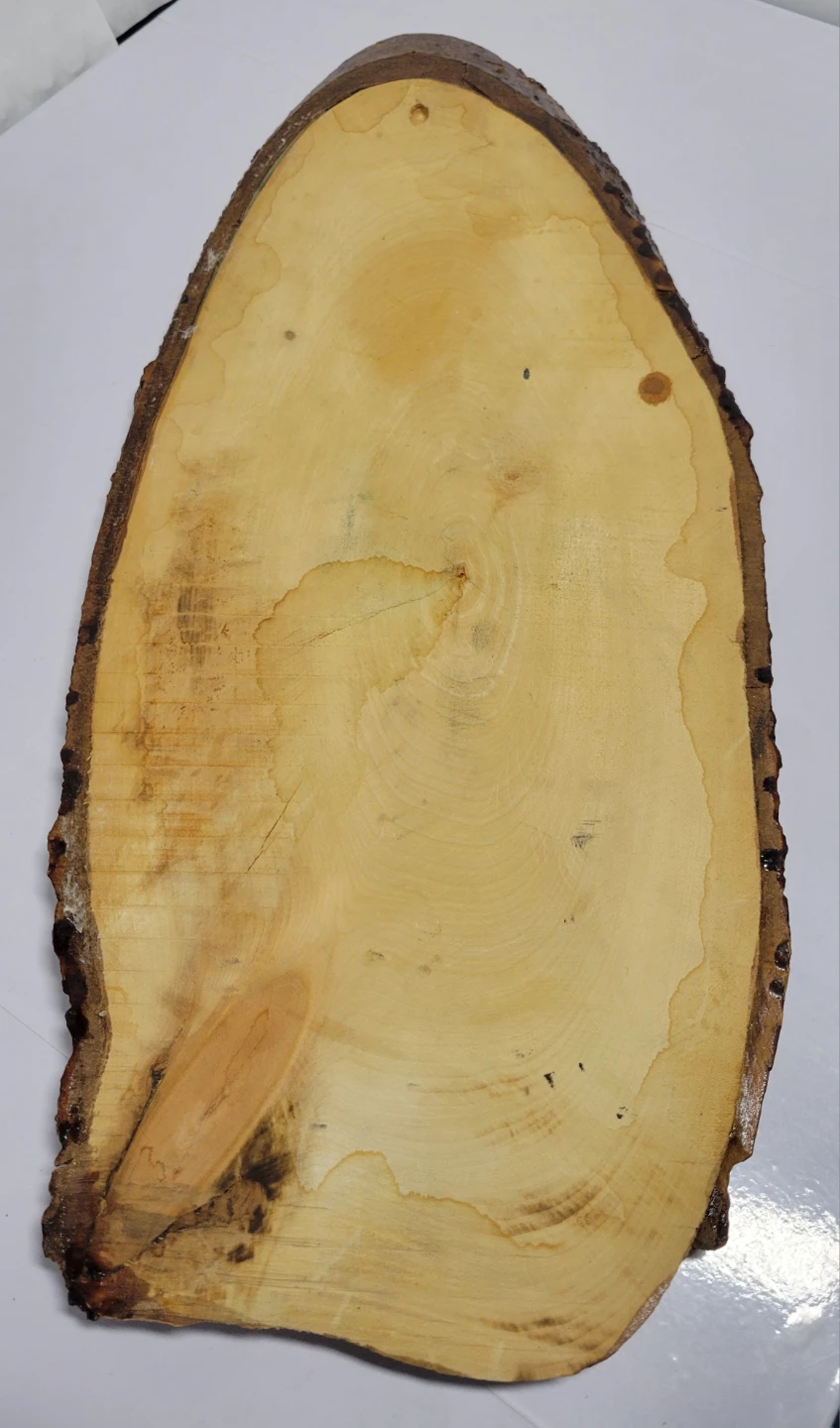 Vintage Wood Slice Landscape Painting 24" - photo 4