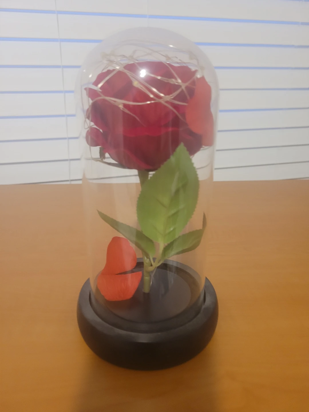Enchanted Rose Dome with Lights