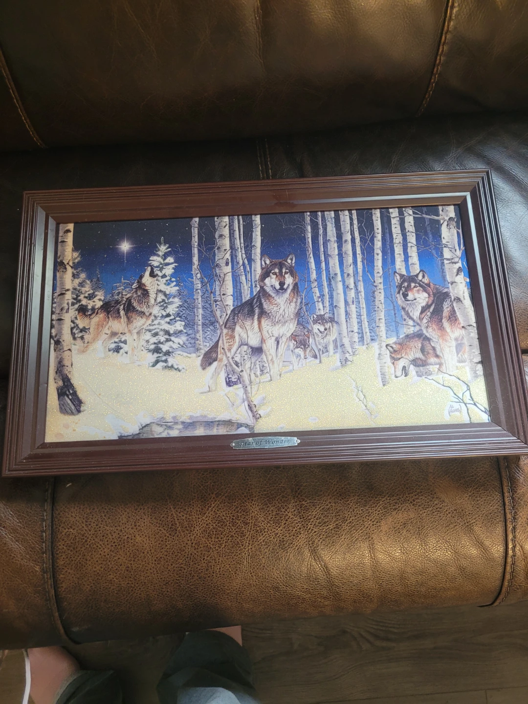 Framed Wolf Art Print - "Star of Wonder"