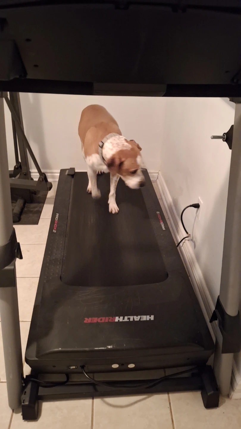 HealthRider ProShox 2 Treadmill - photo 3