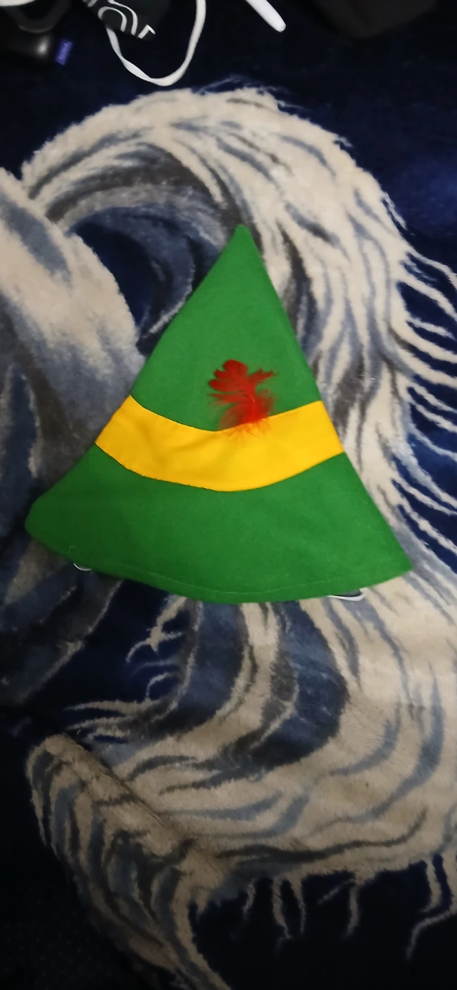 Green Elf Costume - photo 3