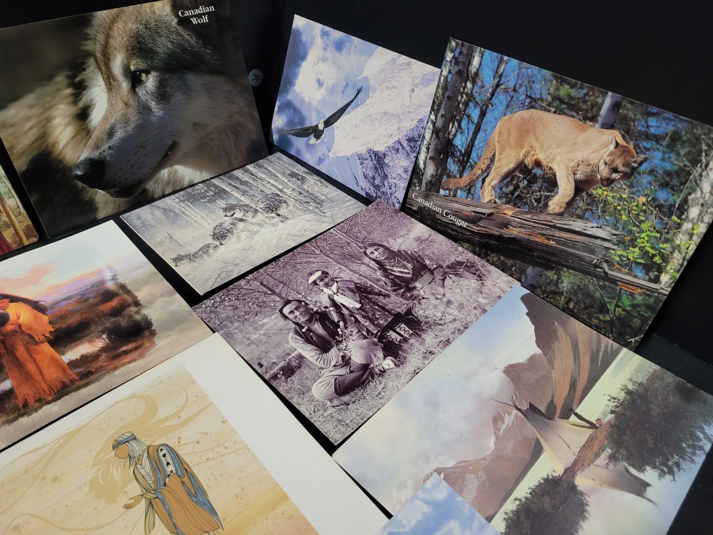 Collection of Canadian Nature and Indigenous Art Prints - photo 2