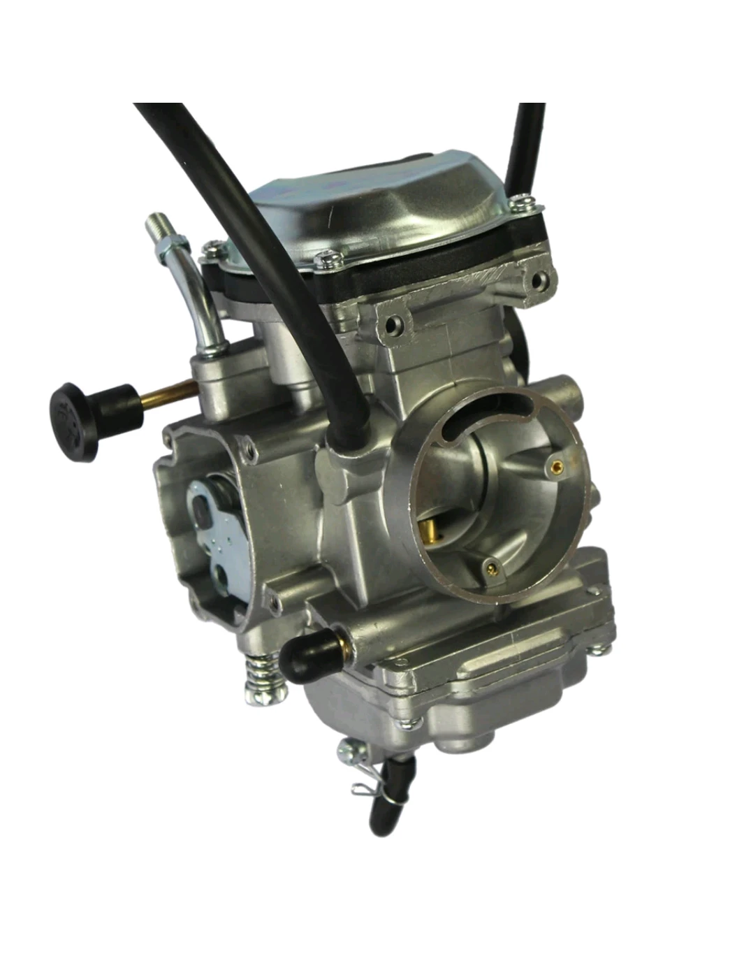 Motorcycle Carburetor with Fuel Filter