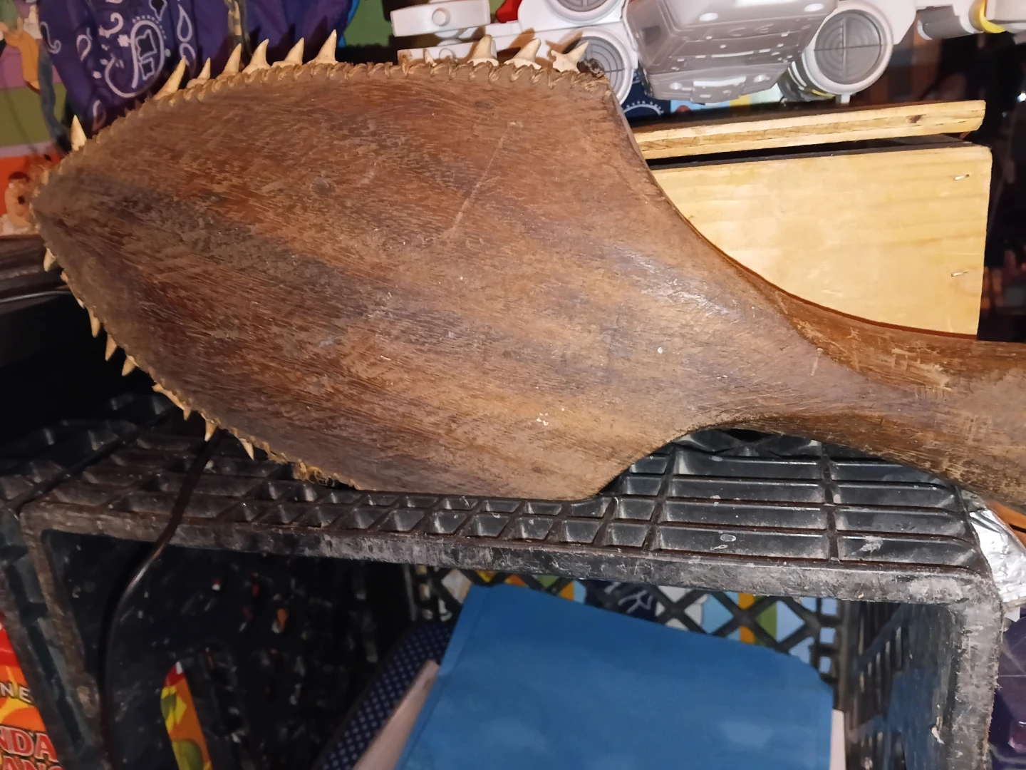 Shark tooth Polynesian war club