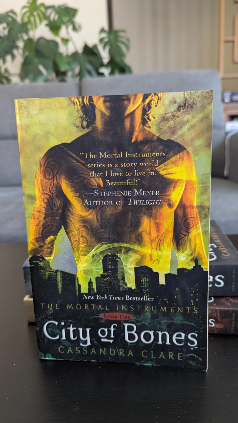 The Mortal Instruments Books 1, 2, 4 by Cassandra Clare - photo 2