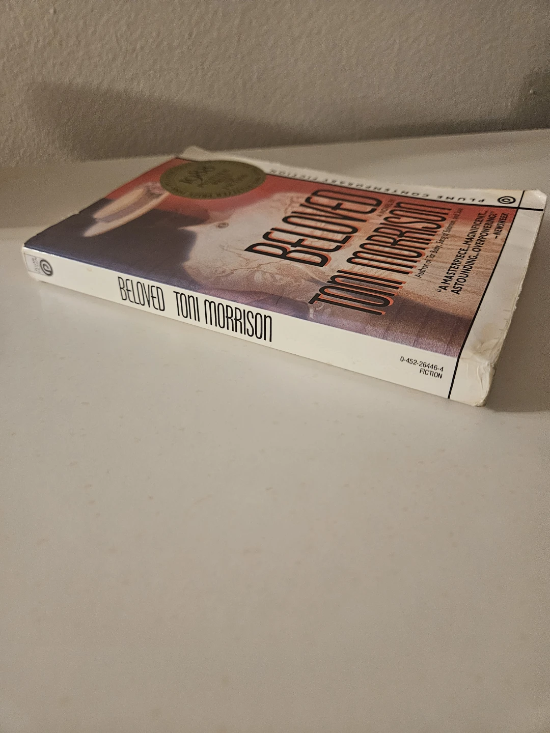 Beloved novel by Toni Morrison 🧡 - photo 2