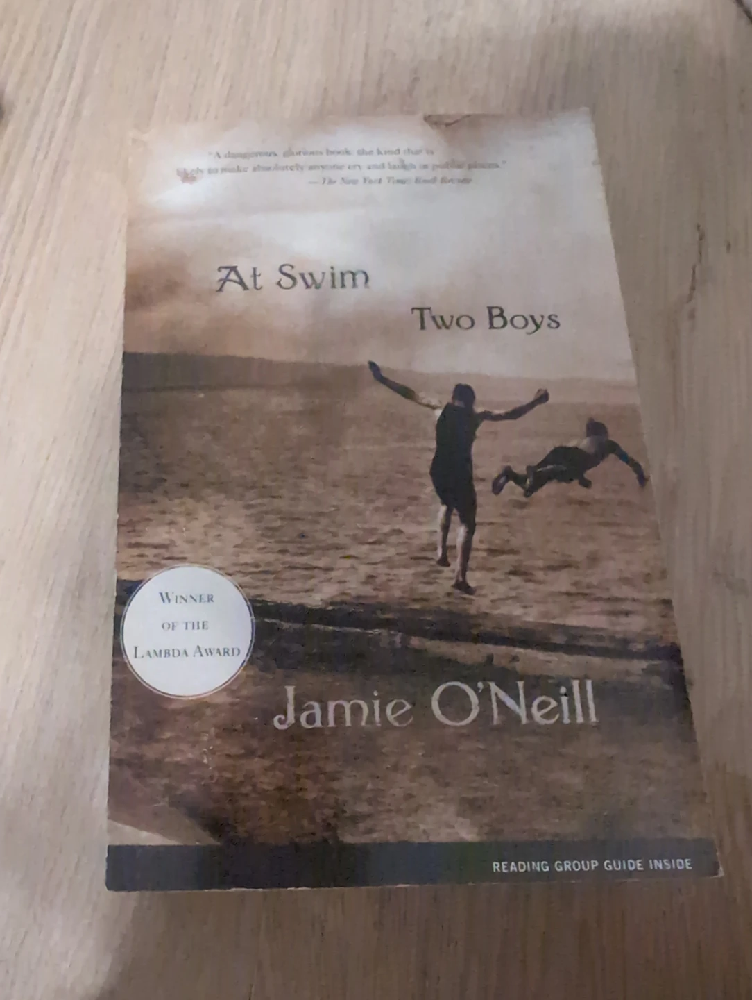 At Swim Two Boys by Jamie O'Neill