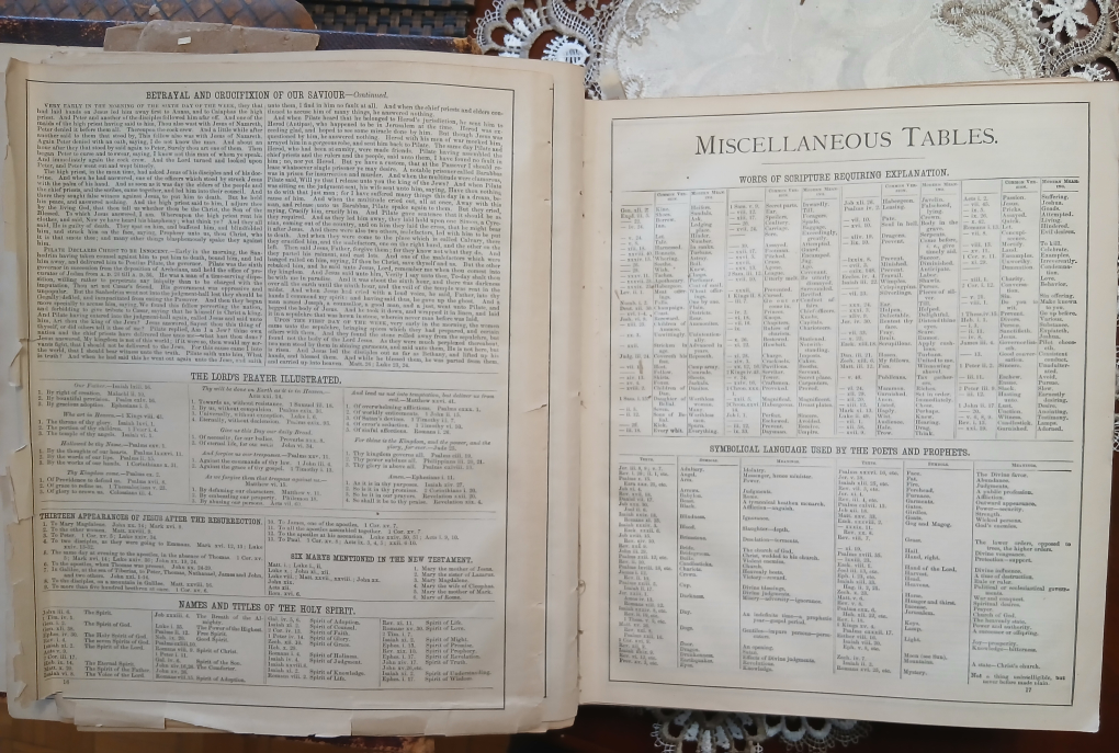 Antique Pictorial Family Bible from the 1800-s - photo 4