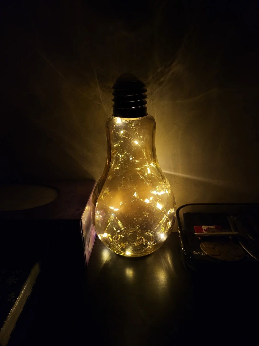 Decorative Light Bulb Shaped Lamp with Fairy Lights