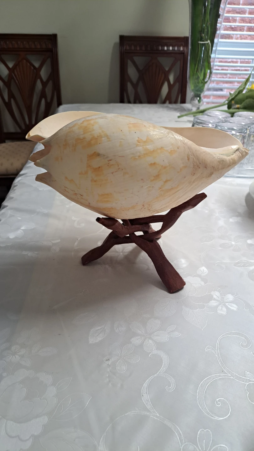 Large Decorative Seashell with Wooden Stand