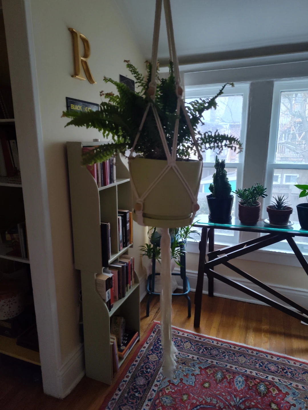 Macrame Plant Hanger with Beads