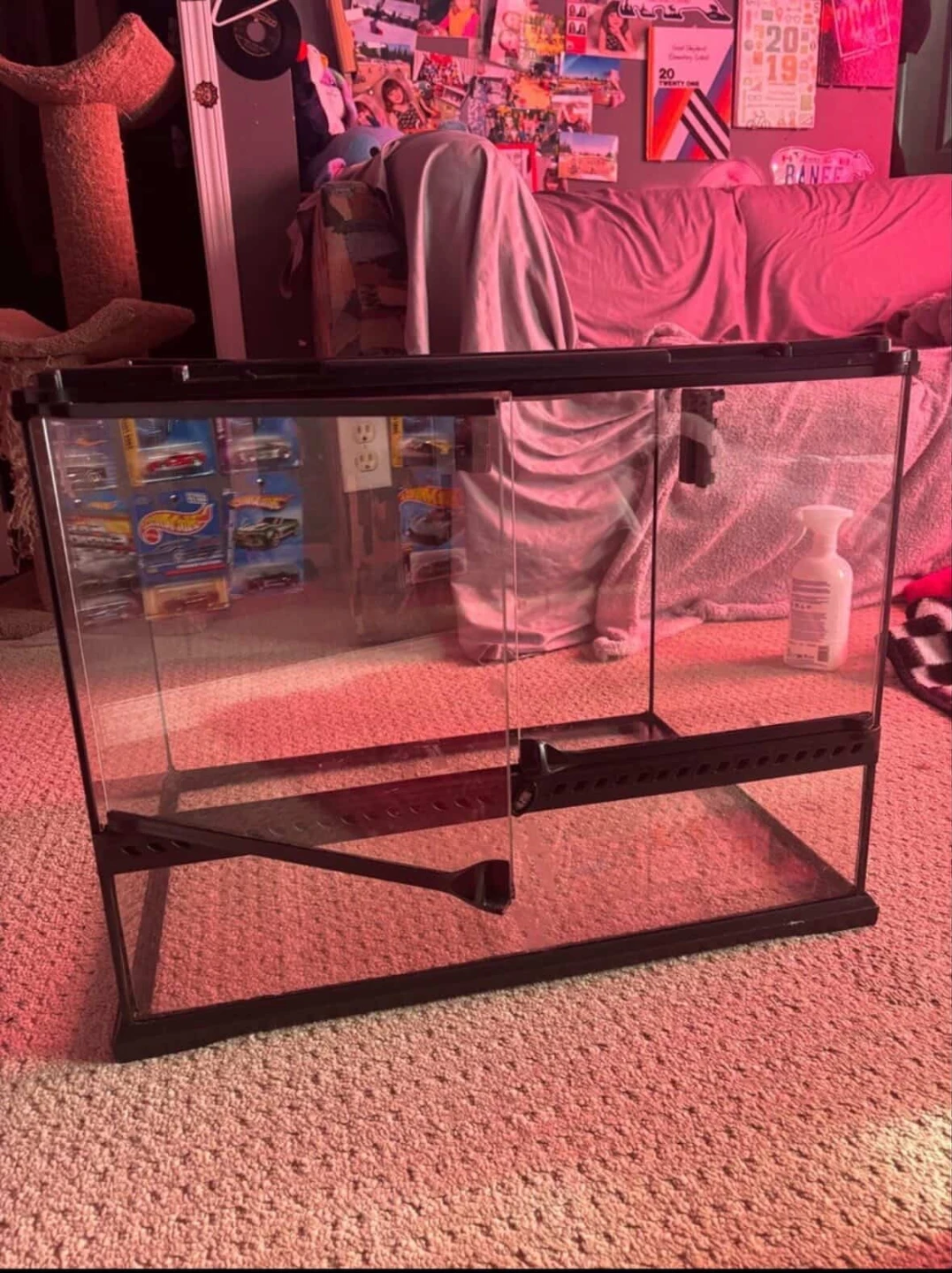 Glass Terrarium Tank