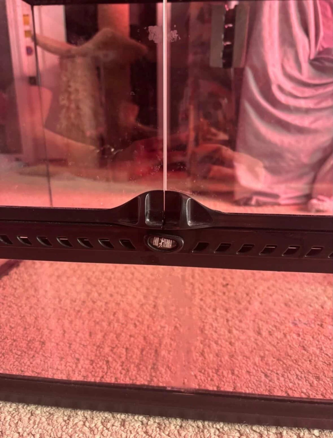 Glass Terrarium Tank - photo 2