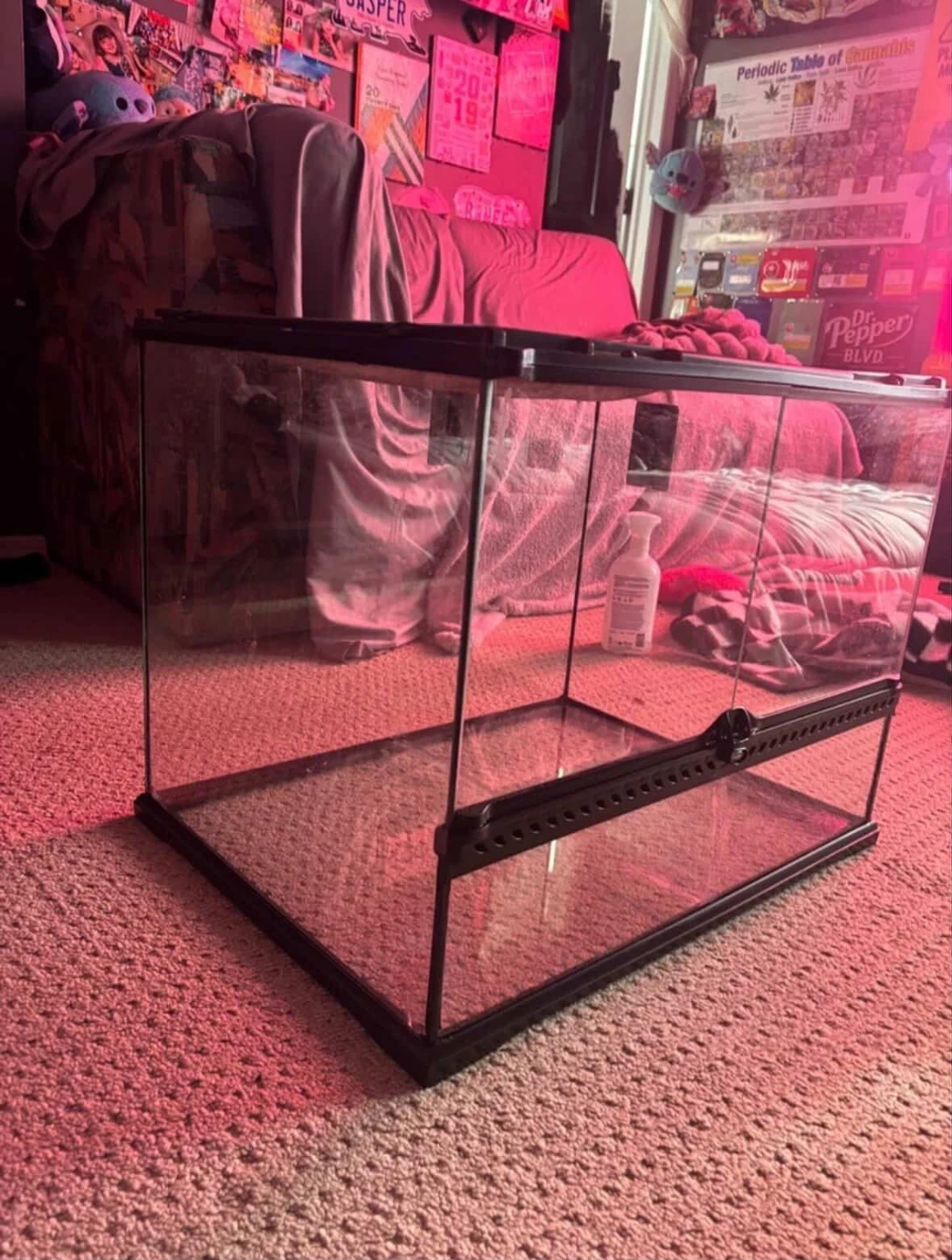 Glass Terrarium Tank - photo 3