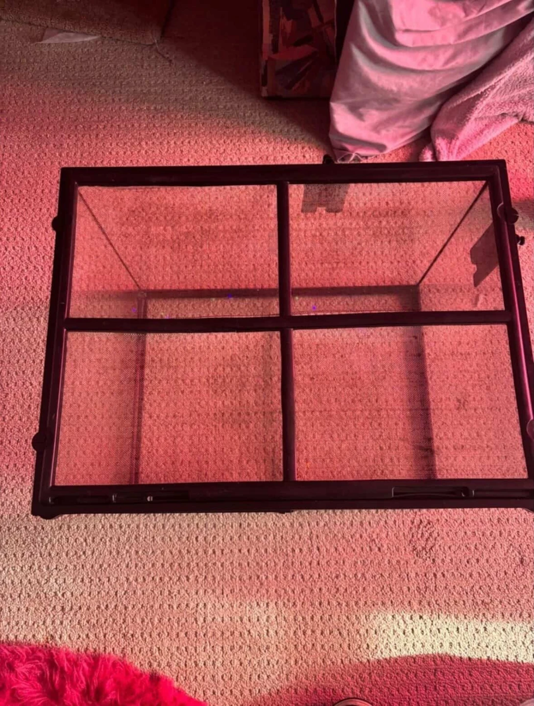Glass Terrarium Tank - photo 4