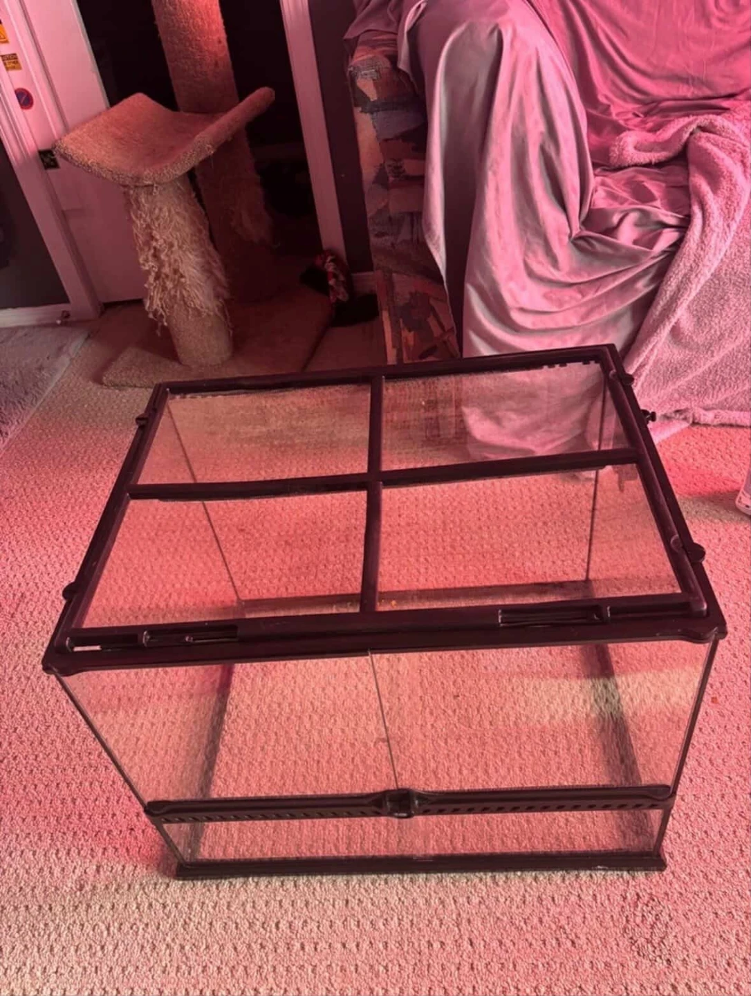 Glass Terrarium Tank - photo 5