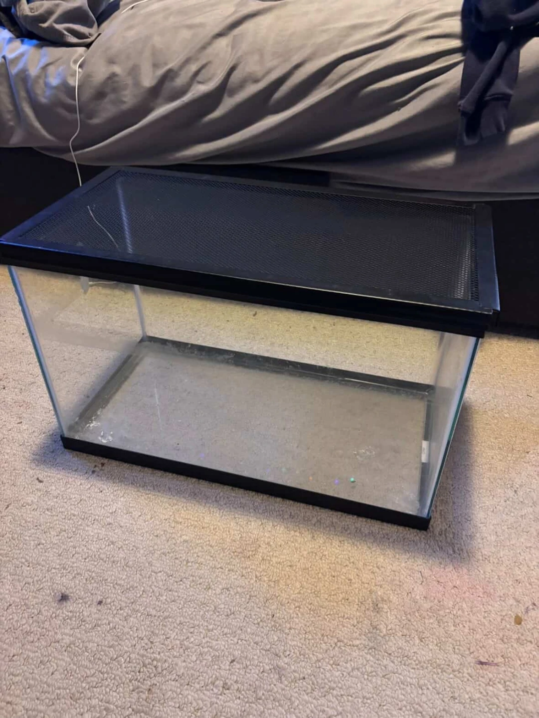 Glass Terrarium with Mesh Lid