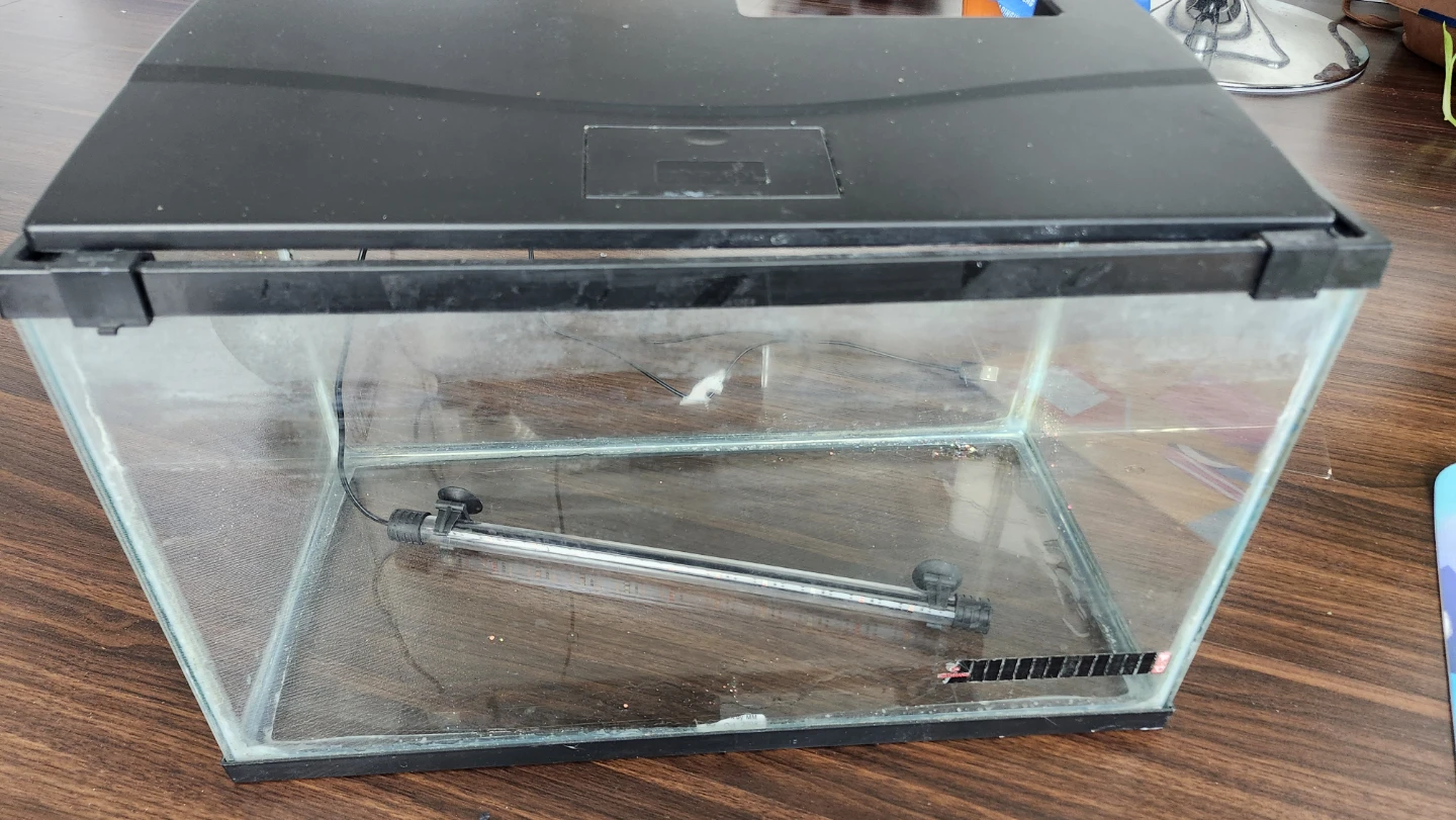 10 gallon Glass Aquarium - photo 2